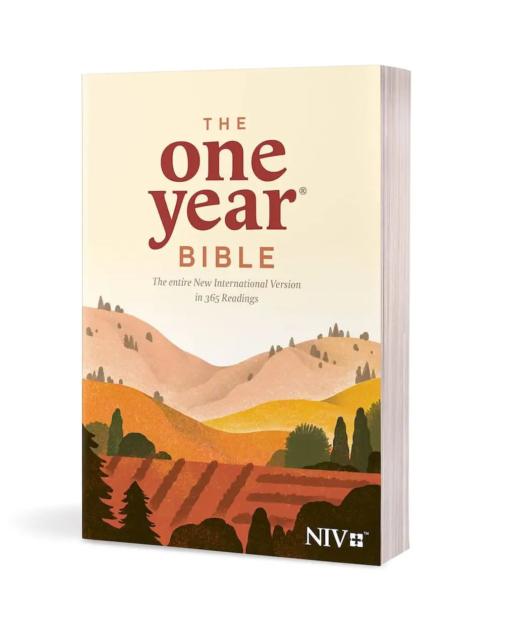one year bible